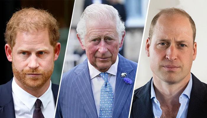 Prince Harry, Prince William ‘forced’ to call off royal rift: Details