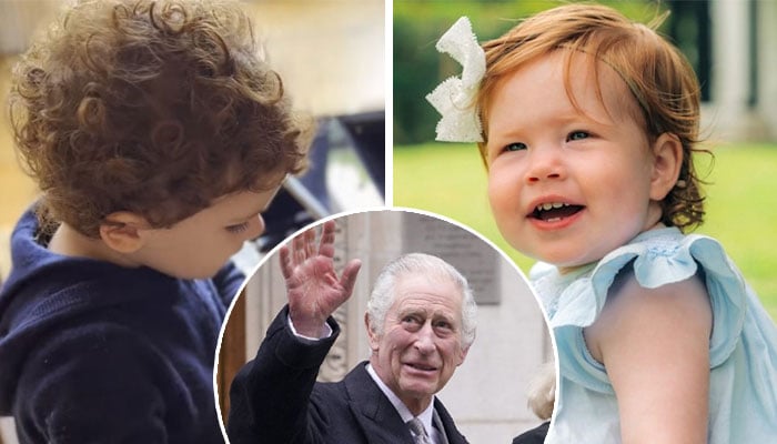 Prince Harry to return with Prince Archie, Princess Lilibet in UK