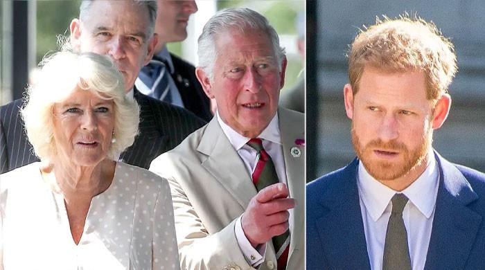 Le roi Charles a été « forcé » de garder courte la visite du prince Harry à Camilla