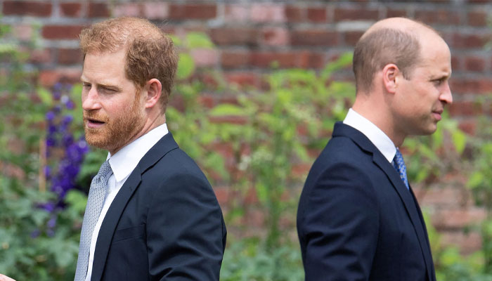 Prince William, Prince Harry ‘may never reconcile’: Here’s why
