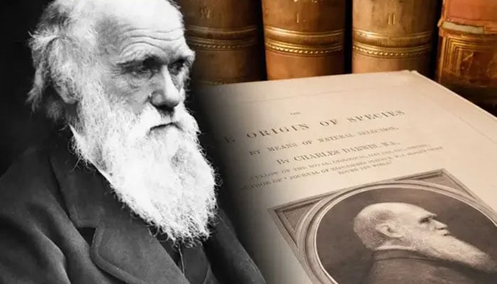 An illustration of Charles Darwin and some books from his lost library. — Pune News/File
