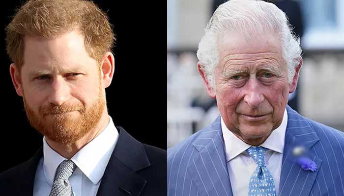 Prince Harry angers ailing King Charles by using royal titles for new project