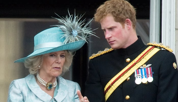 Prince Harry hostile reaction to Queen Camilla during UK visit laid bare