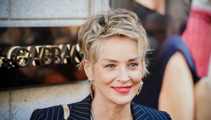 Sharon Stone recalls 1992 incident involving Police: Expensive to be famous