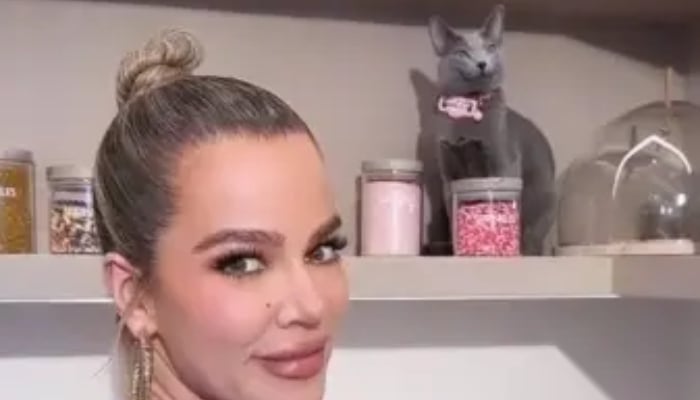 Khloe Kardashian trolled for face tuning cat