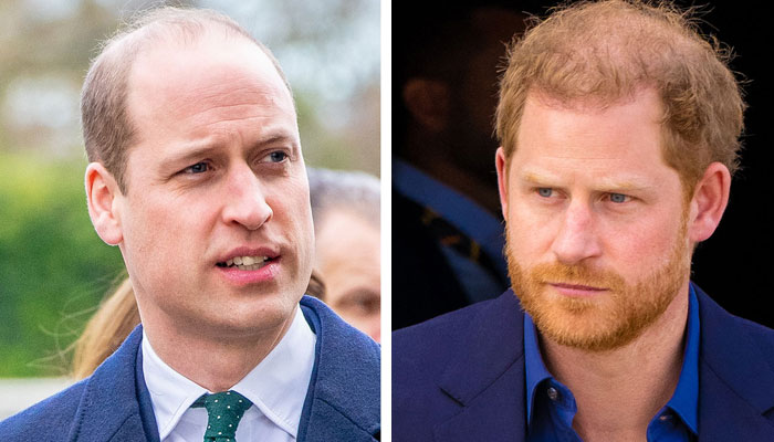 Prince William ‘fearful’ as suspicions about Prince Harry proven ‘right’