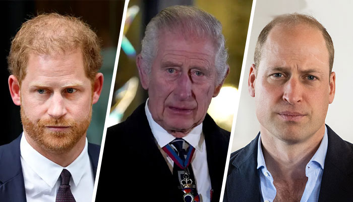Prince William, Prince Harry feud ‘exhausting’ cancer-stricken King Charles