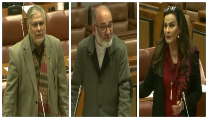 (Left to right) Senators Ishaq Dar, Mushtaq Ahmed, and Sherry Rehman, addressing the Senate session, on February 19, 2024, in this still taken from a video. — YouTube/@SenateofPakistanOfficial