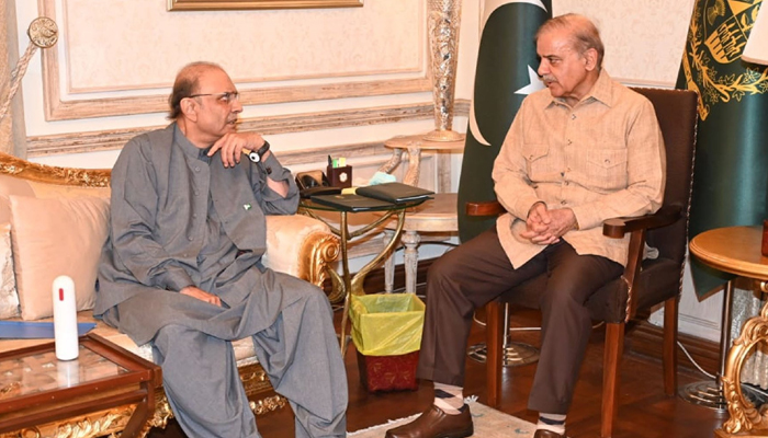 Former President of Pakistan and Pakistan Peoples Party (PPP) president Asif Ali Zardari calls on Prime Minister Shehbaz Sharif in Lahore on Saturday, July 15, 2023. — PID