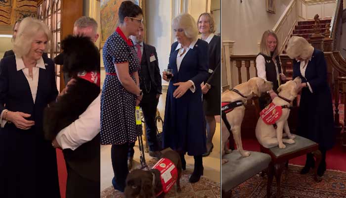 Queen Camilla brings adorable dogs to her London home