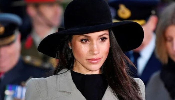Meghan Markle makes powerful appearance in new photo