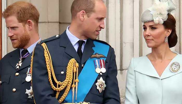 Prince William is hugely protective of  his wife Catherine, the Princess of Wales
