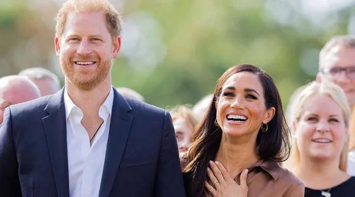 Les démarches financières du prince Harry et de Meghan Markle aggravent le fossé familial