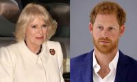 Queen Camilla Forced Prince Harry Out Of UK With Grave Warning