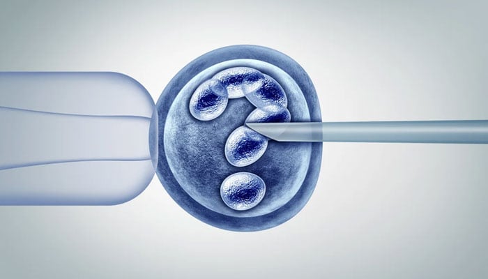 representational image of an in-vitro fertilisation (IVF) procedure of mixing eggs and sperm in a tube. — RMany