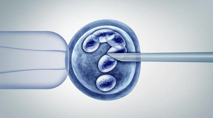 Alabama klinikleri mahkemenin ’embriyolar çocuktur’ sonucu sonrasında tüp bebek hizmetlerini durdurdu
