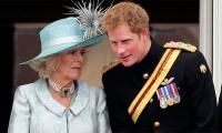 Queen Camilla Expresses Outrage Over Harry's Attitude During With King Charles