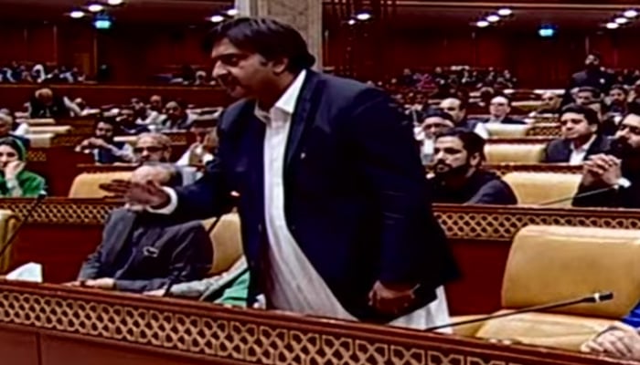 PML-N leader Malik Ahmed Khan speaks after his election as Punjab Assembly speaker. — Geo News
