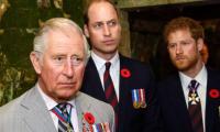 Prince William Urged King Charles Not To Allow Prince Harry's Reunion