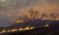 Texas Faces Second-largest Wildfire In State's History As Blaze Sweeps Across High Plains