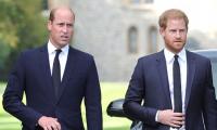Prince Harry Widens Divide With 'wounded' William Over 'victim Mentality'