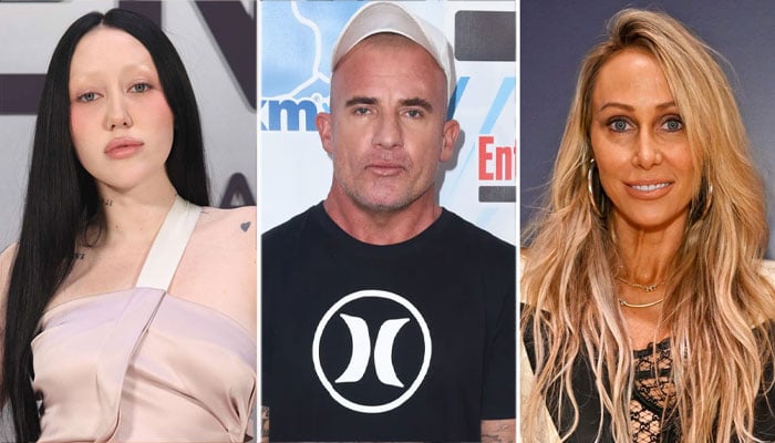 Noah Cyrus, Dominic Purcell were ‘friends with benefits’ before Tish: report