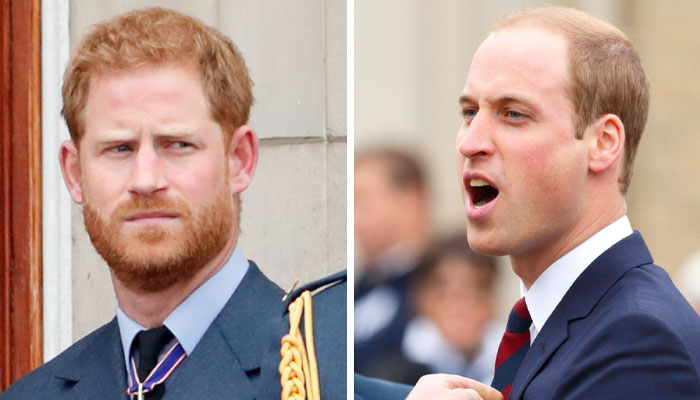 Prince Harry’s royal comeback ‘pending approval’ of Prince William