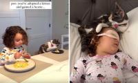 VIDEO: Rescue Kitten Forms 'meowrable' Friendship With 4-year-old Girl