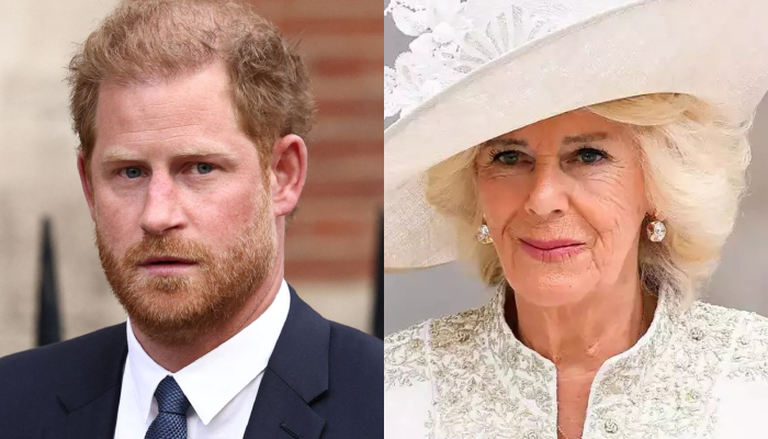 Prince Harry resents idea of Queen Camilla leading royal family