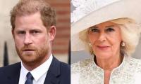 Prince Harry 'resents' Idea Of Queen Camilla Leading Royal Family
