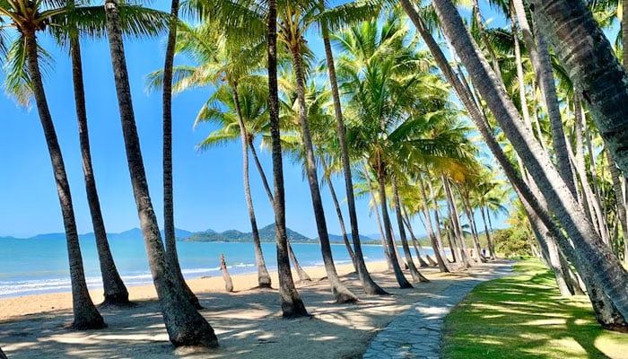 Palm Cove Beach in Queensland Australia named the worlds best beach. — ABC/File