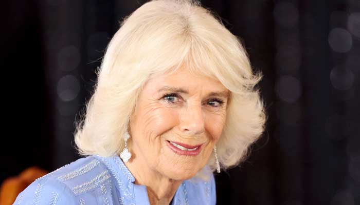 Queen Camilla urges people to dismantle the lies in her Womens Day message