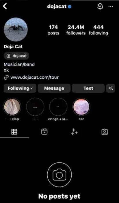 Doja Cat deactivates Instagram over poor treatment: ‘Getting too much’