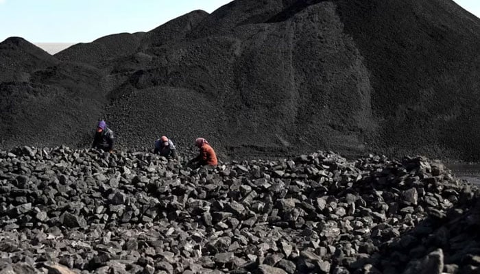 Workers sort coal near a coal mine in Datong, Shanxi province, China, on Nov 3, 2021. — AFP