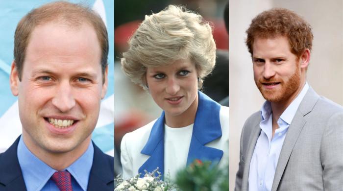 Książę William i książę Harry spotkają się na ceremonii rozdania nagród Księżnej Diany?