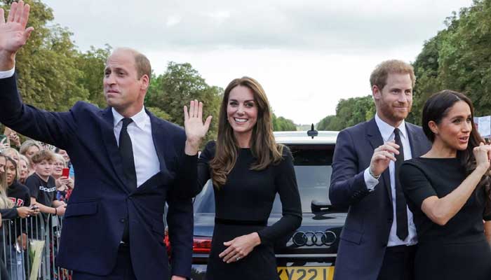 Meghan Markle allegedly foils Prince William, Harrys reconciliation plan