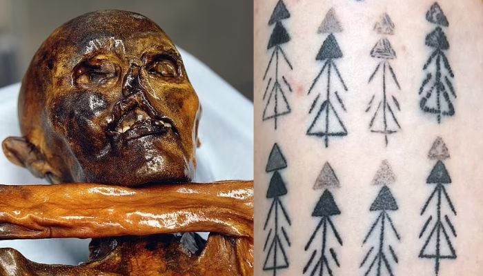 Ötzi the Iceman is the natural mummy of a man who lived between 3350 and 3105 BC. Ötzi Tattoos on Ridays leg six months later. — Deter-Wolf et al/Exarc/PA/File