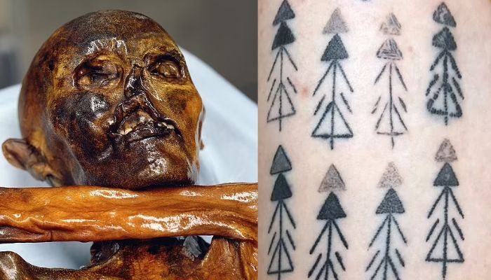 Otzi Tattoo Bronctattooaus