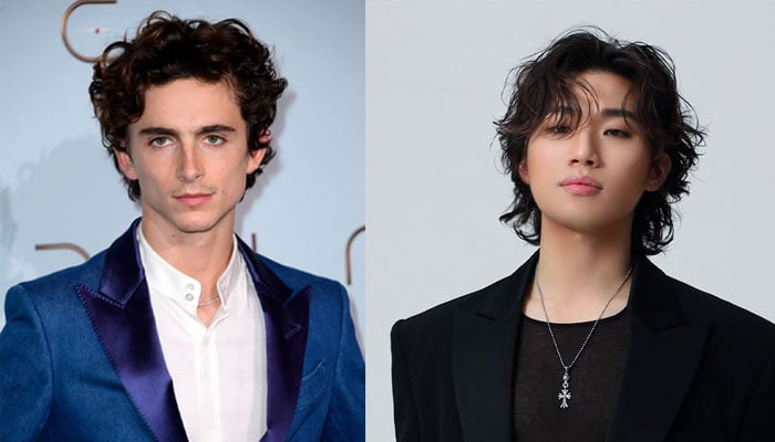 Timothee Chalamet recently found his twin flame in the face of BIGBANG’s Daesung