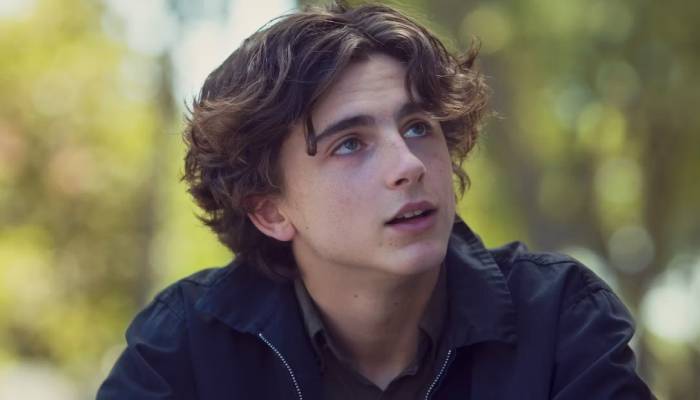 Timothée Chalamet will play the role of Bob Dylan,in upcoming biopic: Phottos