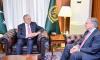 US envoy Blome, FM Dar discuss economy, regional security 