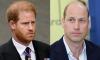Prince Harry loses golden opportunity to Prince William
