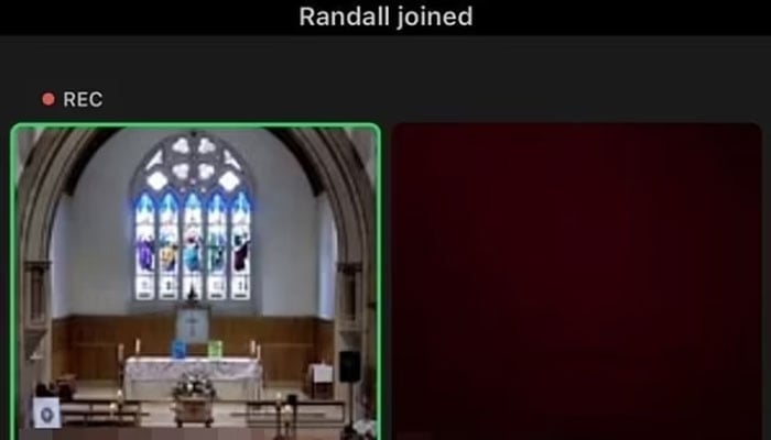 Woman accidentally appears clotheless on funeral livestream Zoom call. — Screenshot of a Zoom call.