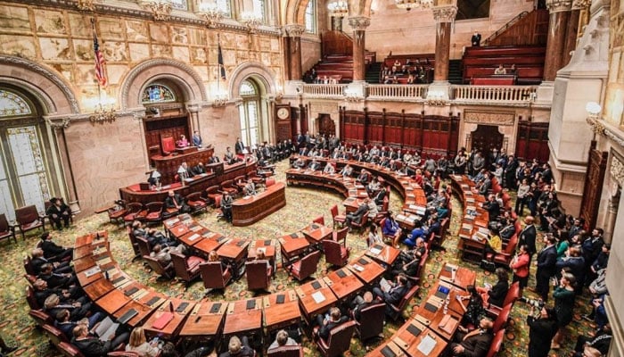 A view of the New York State Assembly. — Photo by author
