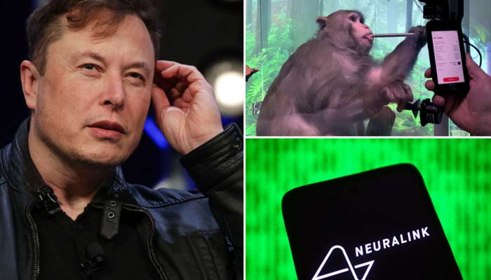 Elon Musks Neuralink research led to brutal deaths of hundreds of animals just like US governments experiments during Cold War. — Sopa/File