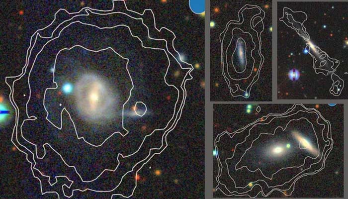 MeerKAT helps in discovery of 49 new galaxies in just 3 hours. — ICRAR/fILE