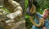 World's largest snake found shot dead in Amazon Rainforest