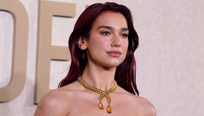 Dua Lipas guard commend actions in protecting singer amid fan encounter.