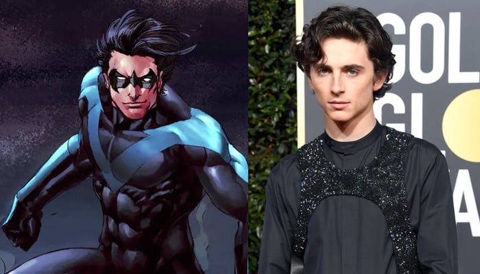 Timotheé Chalamet to star as Nightwing in DC Universe?