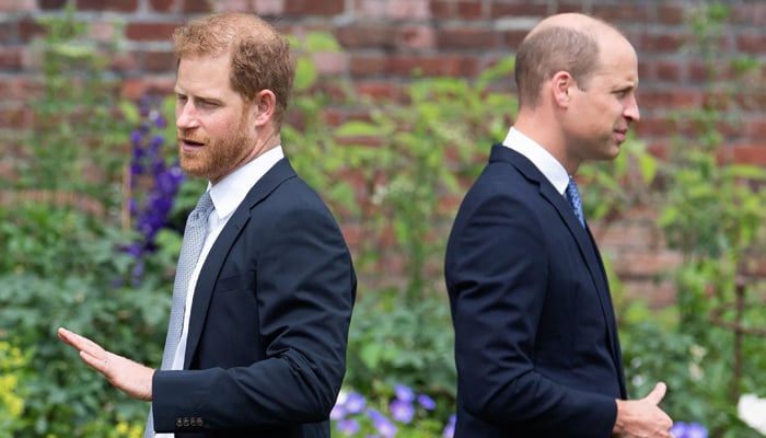 Prince William foils Prince Harrys reunion plans ahead of UK return